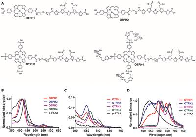 Synthesis and Characterization of Oligothiophene–Porphyrin-Based Molecules That Can Be Utilized for Optical Assignment of Aggregated Amyloid-β Morphotypes